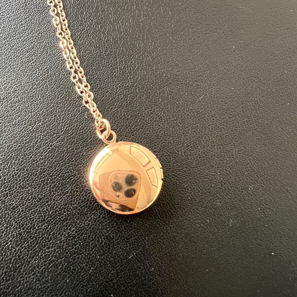 Locket Necklace - Picture 5 of 7